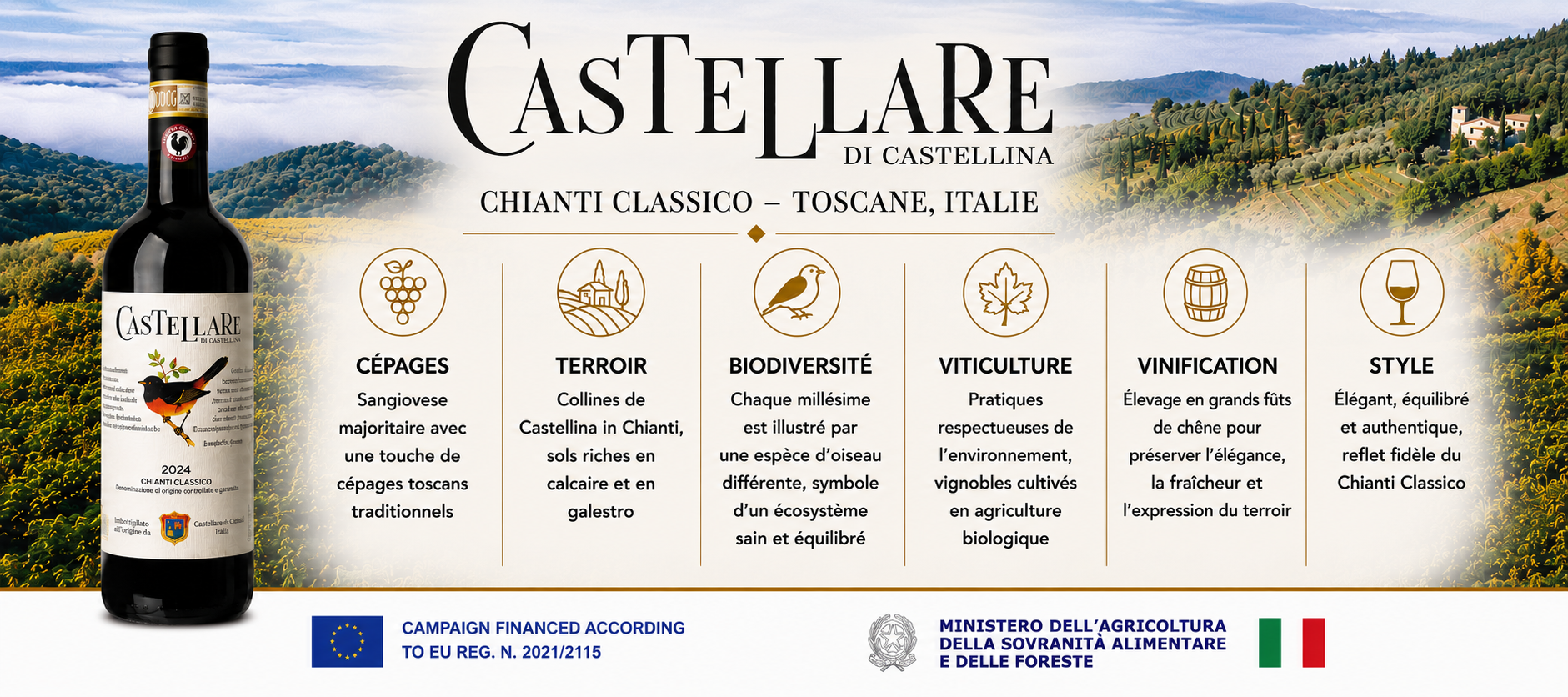 Domini Castellare